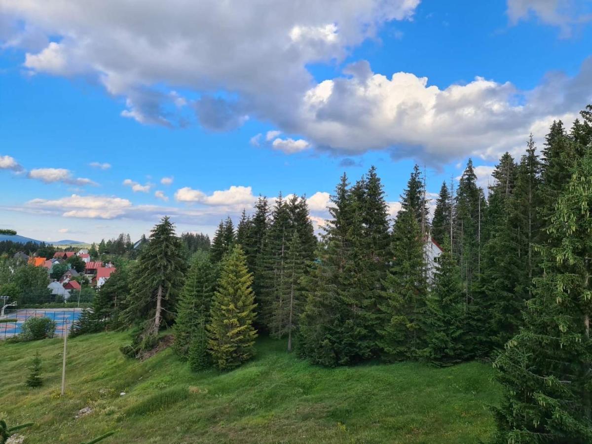 Turisticki Apartmani “Kraljeva Stolica” Žabljak Buitenkant foto